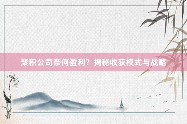 聚积公司奈何盈利?揭秘收获模式与战略